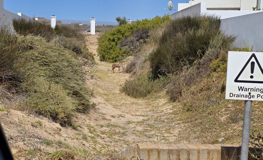 0 Bedroom Property for Sale in Blue Lagoon Western Cape